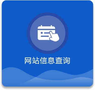 网站信息查询