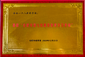合肥市素质教育示范校